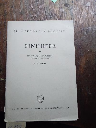 Einhufer