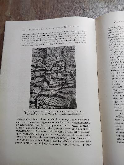 Bulletin+de+la+Commission+Geologique+de+Finlande++Nr.+94++Die+physikalischen+Eigenschaften+der+mineralischen+Bodenarten