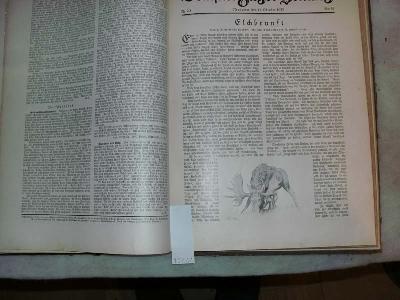 Deutsche+J%C3%A4ger+Zeitung++Organ+f%C3%BCr+Jagd%2C+Schiesswesen%2C+Fischerei%2C+Zucht+und+Dressur+von+Jaghunden++85.+Band+1925