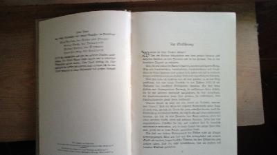 Was vier junge Deutsche 1914 - 1918 erlebten  (Die Quadriga im Weltkriege)  Fritz Berlow - der Reiter und Flieger - Front Cover
