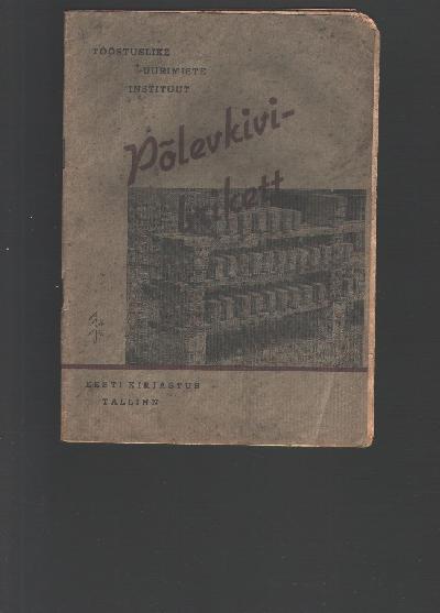 Polevkivi+-+Brikett