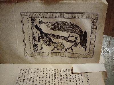 Le+Buffon+de+la+Jeunesse%2C++ou+Abrege+de+l%27histoire+des+trois+regnes+de+la+nature%2C+ouvrage+elementaire+a+l+usage+des+jeunes-gens+de+l+un+et+l+autre+sexes%2C+et+des+Personnes+ui+veulent+prendre+des+notions+d+Histoire+naturelle+++Oiseaux+et+Poissons++Tome+Troisieme