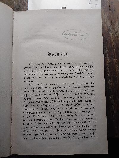 Jungrrussisch und Altlivländisch   Politische und culturgeschichtliche Aufsätze - Front Cover