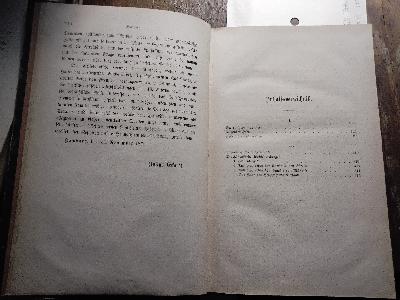 Jungrrussisch und Altlivländisch   Politische und culturgeschichtliche Aufsätze - Front Cover