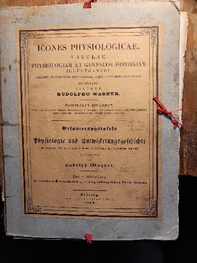 Icones+physiologicae.+Tabulae+physiologiam+et+geneseos+historiam+illustrantes.+Erl%C3%A4uterungstafeln+zur+Physiologie+und+Entwickelungsgeschichte+mit+vorz%C3%BCglicher+R%C3%BCcksicht+auf+seine+Lehrb%C3%BCcher+%C3%BCber+Physiologie+und+vergleichende+Anatomie++Zweite+Abtheilung++Acht+Kupfertafeln+zur+Physiologie+der+Ern%C3%A4hrung%2C+%28Verdauung%2C+Blutbildung%2C+Kreislauf%2C+Athmung%2C+Absonderung%29