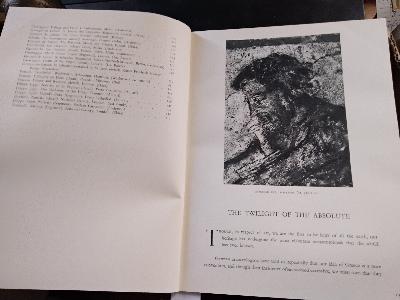 The twilight of the Absolute - Front Cover