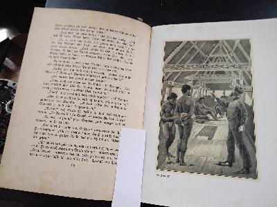 Abenteuer eines Naturforschers in der Südsee - Front Cover