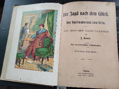 Die Jagd nach dem Glück   Der Spielmann und sein Sohn - Front Cover