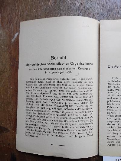 Bericht+der+polnischen+sozialistischen+Organisationen+an+den+internationalen+sozialistischen+Kongress+in+Kopenhagen+1910