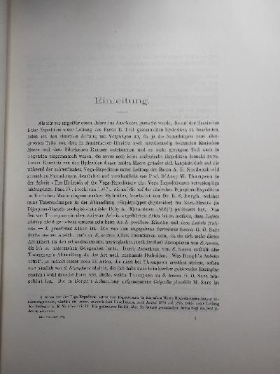 Die+Hydroiden+des+Sibirischen+Eismeeres++Gesammelt+von+der+russischen+Polarexpedition+1900+-+1903