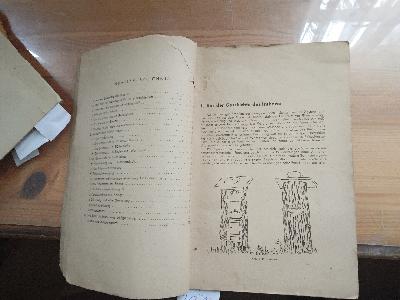 Lohnende+Bienenhaltung