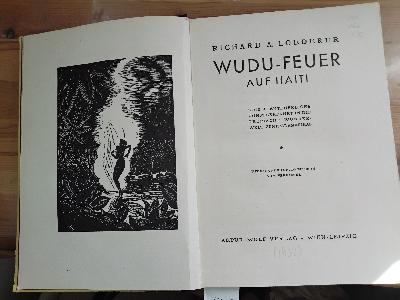 Wudu+-+Feuer+auf+Haiti++Eine+abenteuerliche+K%C3%BCnstlerfahrt+in+die+tropische+Wunderwelt+Zentralamerikas.