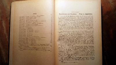 Lehrbuch+der+pilzparasit%C3%A4ren+Pflanzenkrankheiten+mit+besonderer+Ber%C3%BCcksichtigung+der+Krankheiten+g%C3%A4rtnerischer+Kulturgew%C3%A4chse