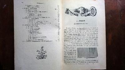 Des+Kindes+erstes+Besch%C3%A4ftigungsbuch++Praktische+Anleitung+zur+Selbstbesch%C3%A4ftigung+f%C3%BCr+j%C3%BCngere+Kinder.+Zugleich+f%C3%BCr+die+Hand+der+Mutter+und+Kinderg%C3%A4rtnerin.