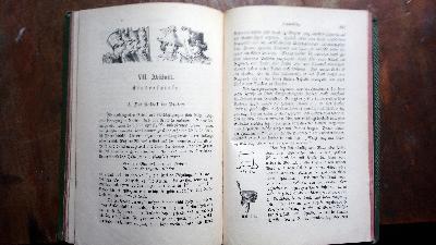 Des+Kindes+erstes+Besch%C3%A4ftigungsbuch++Praktische+Anleitung+zur+Selbstbesch%C3%A4ftigung+f%C3%BCr+j%C3%BCngere+Kinder.+Zugleich+f%C3%BCr+die+Hand+der+Mutter+und+Kinderg%C3%A4rtnerin.