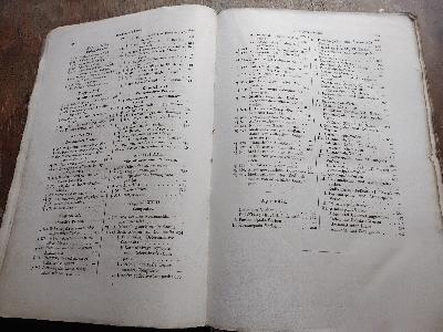 Max+M%C3%BCllers+Sanskrit+Grammatik++in+Devanafari+und+lateinischen+Buchstaben