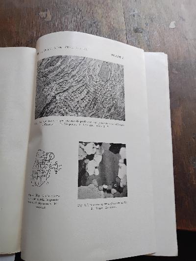 Bulletin+de+la+Commission+Geologique+de+Finlande++Nr.+122++On+the+Petrology+of+Finnish+Quartzites