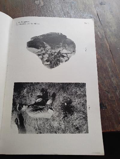 Bulletin+de+la+Commission+Geologique+de+Finlande++Nr.+34++Der+Meteorit+von+St.+Michel