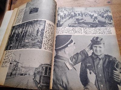 Nur+einmal+konnte+Stalin+siegen++Lehren+und+Bilder+aus+dem+Ru%C3%9Flandfeldzug+1941+-1945