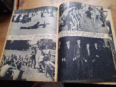 Nur+einmal+konnte+Stalin+siegen++Lehren+und+Bilder+aus+dem+Ru%C3%9Flandfeldzug+1941+-1945