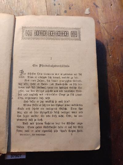 Die Geisterseher  Humoristischer Roman - Front Cover