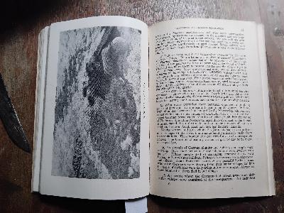 New Soviet Documents on Nazi Atrocities - Front Cover