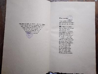 Der Durant  Ein Gedicht aus dem männlichen Zeitalter - Front Cover
