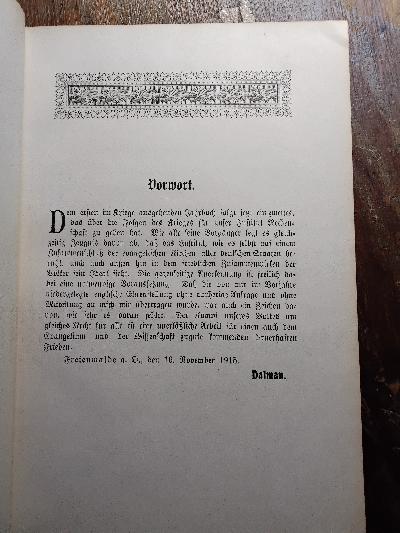 Palästinajahrbuch des Deutschen Evangelischen Instituts für Altertumswissenschaft des Heiligen Landes zu Jerusalem  1915 - Front Cover