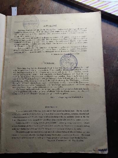 Die Junge Mandschurei in Bildern  Young Manchoukuo in pictures  Manciu - Cuo vigoroso nei fotografi - Front Cover