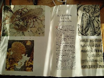 Jugoslavija  Heft 16 1958  inseln und taten - Front Cover