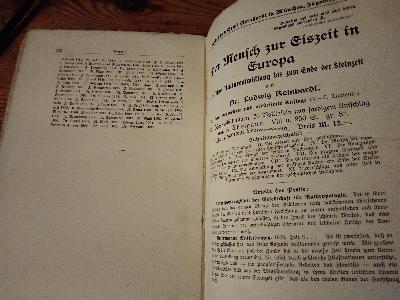 Hallstatt   Ein Kulturbild aus prähistorischer Zeit  - Front Cover