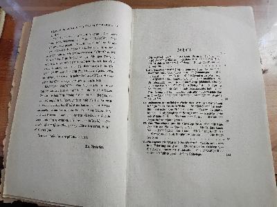 Die sexuelle Untreue der Frau   Eine sozial-medizinische Studie  Zwei Teile  Die Ehebrecherin  Das freie und das feile Weib - Front Cover