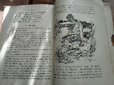 Sichere Schritte Deutsches Lesebuch IV. Teil  - Front Cover