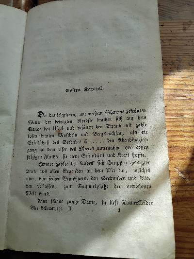 Vier Lebenswege Bilder aus dem Skizzenbuche eines Dilettanten   Zweiter Band - Front Cover