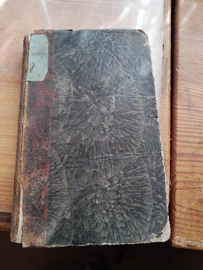 Vier Lebenswege Bilder aus dem Skizzenbuche eines Dilettanten   Zweiter Band - Front Cover