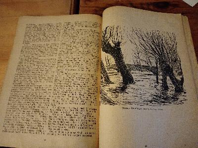 Heimat - Kalender für das Land zwischen Aller und Ohre 1924 - Front Cover