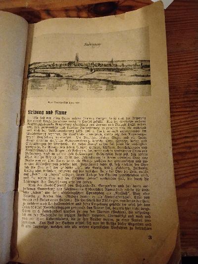 Chronik der Stadt Neuhaldensleben   Neuhaldensleben einst und jetzt - Front Cover