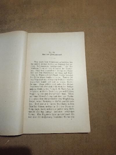 Aus Althaldenslebens Vergangenheit VI. Teil - Front Cover