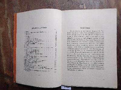 Verkehrsgeschwindigkeiten in ihrer Entwicklung bis zur Gegenwart - Front Cover