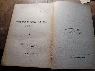 Ikh bin geven a partizan (Di grine legende) - Front Cover