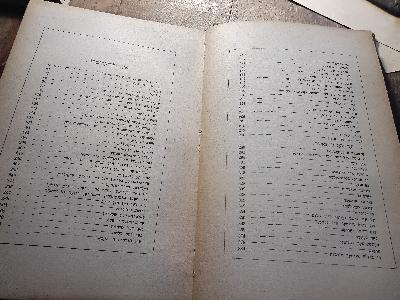 Ikh bin geven a partizan (Di grine legende) - Front Cover