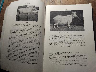 A Short Review of Agriculture and Forestry in Norway  and of official efforts for their advancement - Front Cover