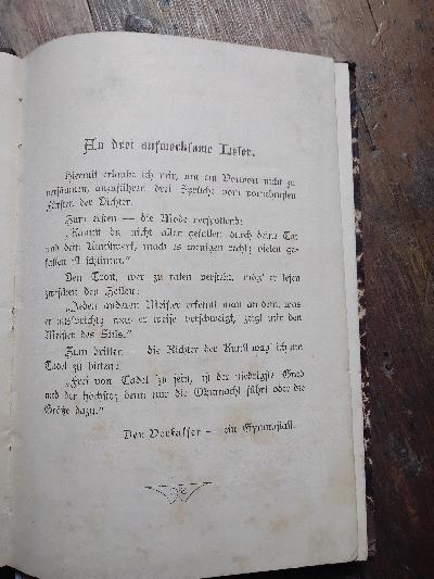 Irrlichter  Eine dramatische Novelle - Front Cover