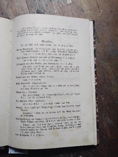 Irrlichter  Eine dramatische Novelle - Front Cover