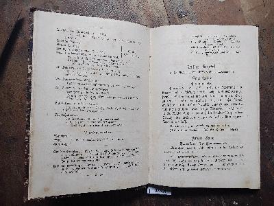 Irrlichter  Eine dramatische Novelle - Front Cover