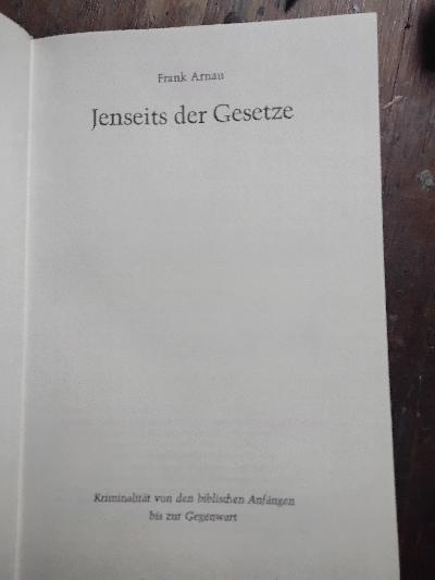 Jenseits der Gesetze  Kriminalität von den biblischen Anfängen bis zur Gegenwart - Front Cover