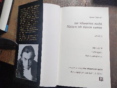 Zur schwarzen Nacht flüstere ich deinen Namen  Gedichte   Herbstland Herbstgasse, Herbstparanthesen - Front Cover