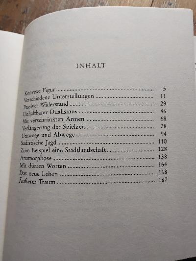 Streit mit der Zeit - Front Cover