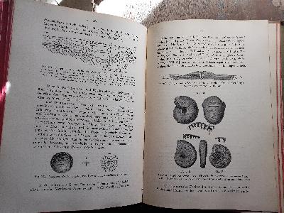 Lehrbuch der Geologie  Ein Leitfaden für Studierende  2 Bände - Front Cover