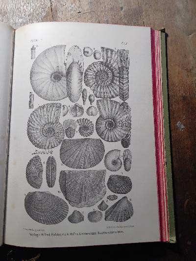 Lehrbuch der Geologie  Ein Leitfaden für Studierende  2 Bände - Front Cover